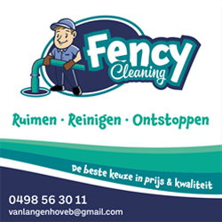 Ruimingsdienst-